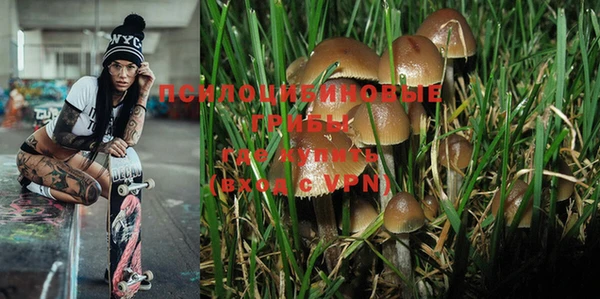 индика Магадан