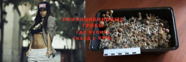 не бодяженный Магас