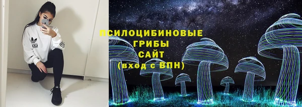 индика Магадан