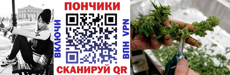 Бошки Шишки план  Купить  Ессентуки 